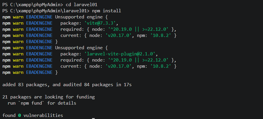 NPM Install
