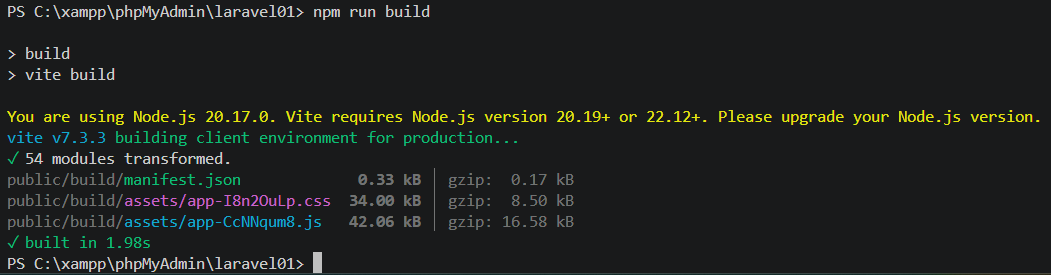 NPM Run Build