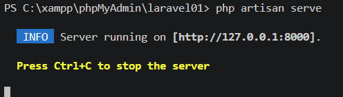 Running Server
